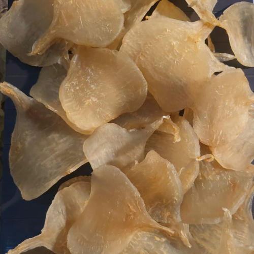 Dara (leptomelanosoma Indicum)