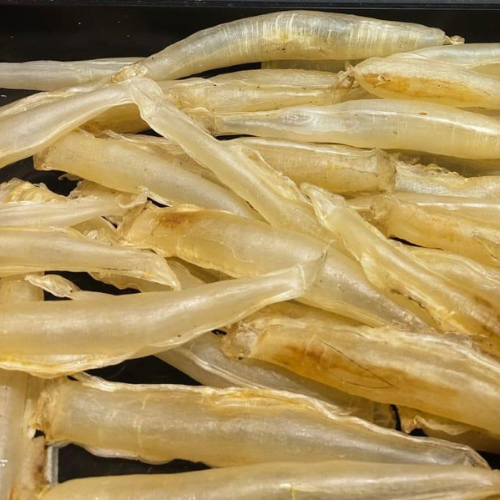 Air soyli/kothi (Otolithoides biauritus)